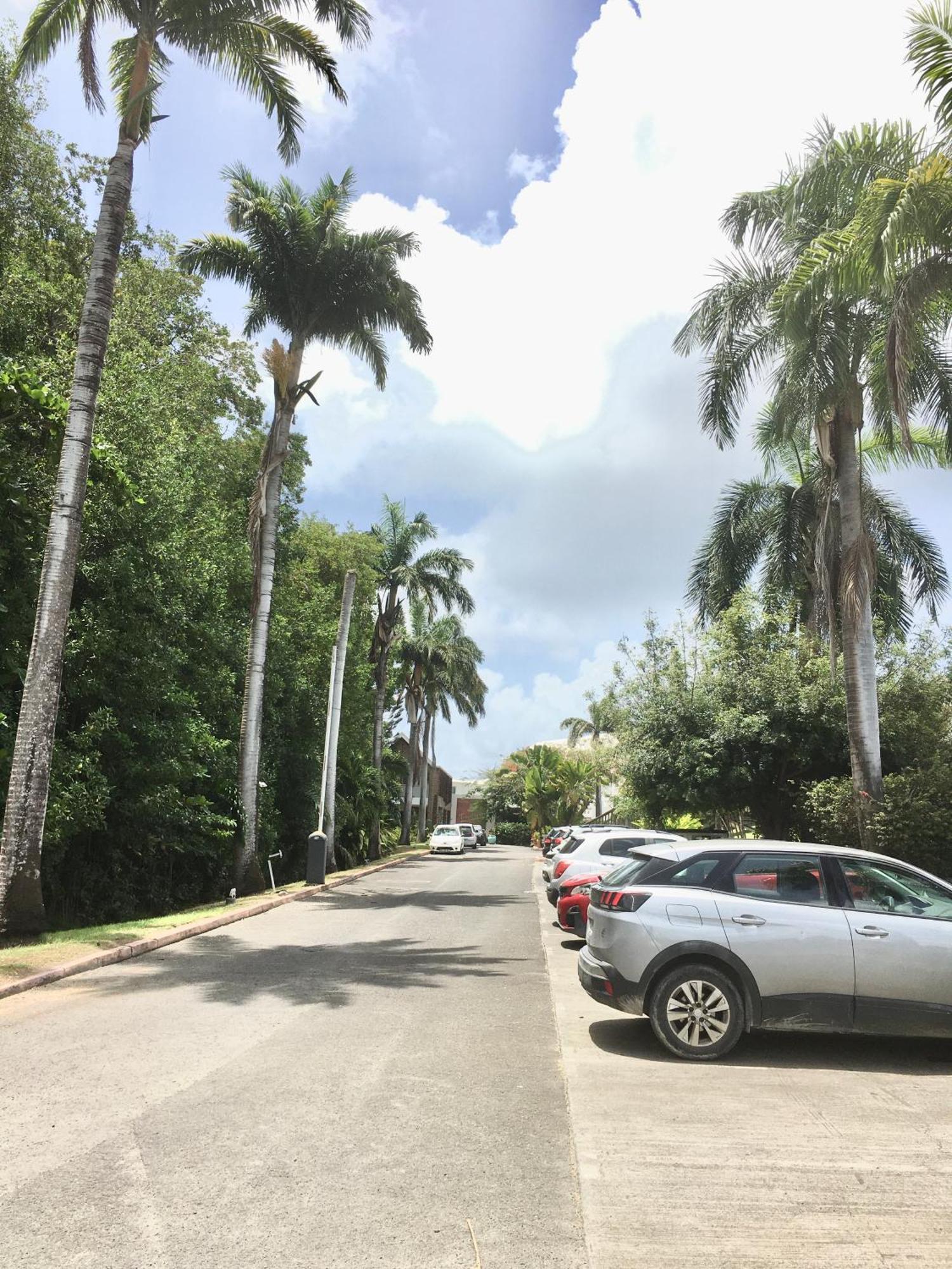 Appartement St Francois Manganao Guadeloupe Сен-Франсуа Экстерьер фото