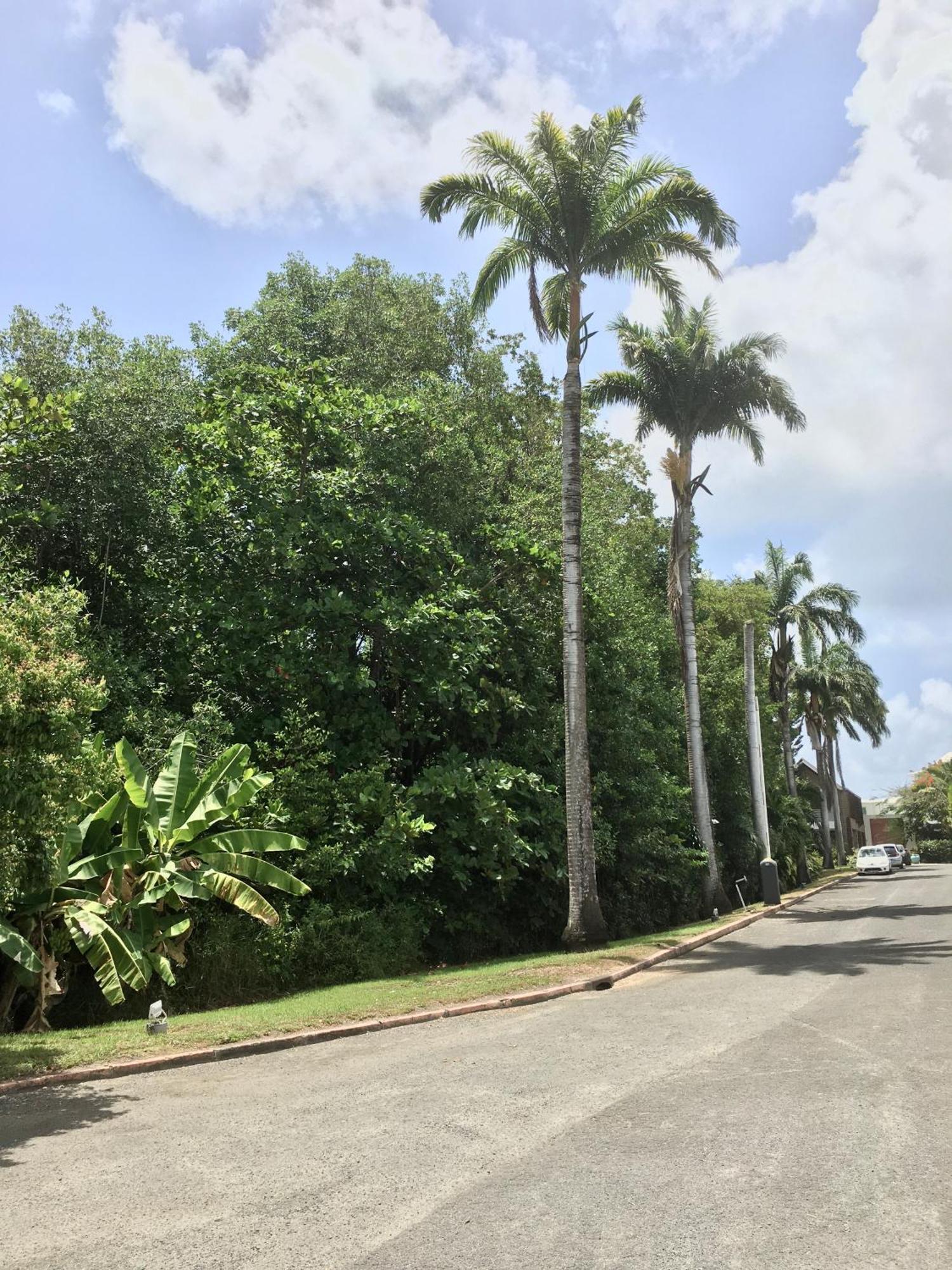 Appartement St Francois Manganao Guadeloupe Сен-Франсуа Экстерьер фото